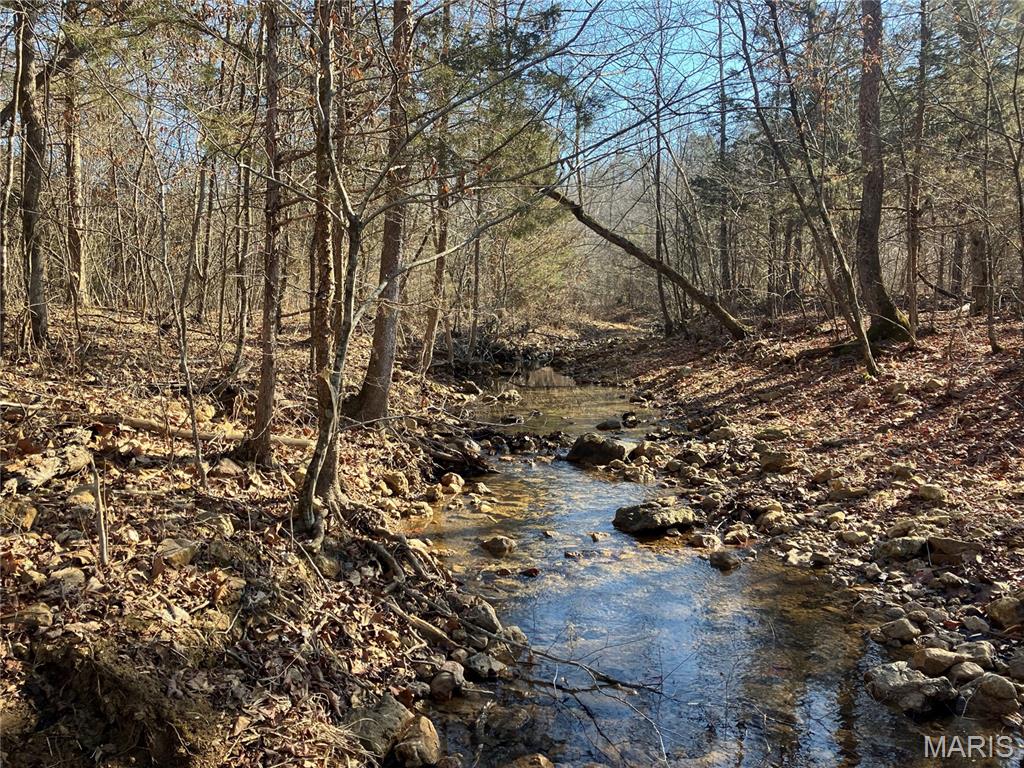 Photo of 211 Madison CR 410 Fredericktown MO 63645