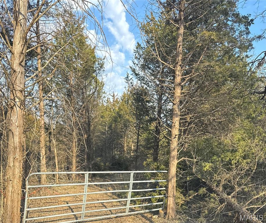 Photo of 2556 Birch Street Doe Run MO 63637