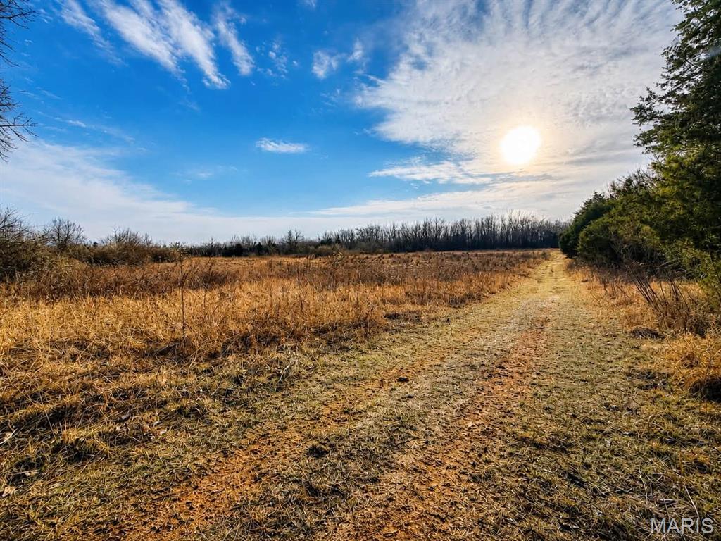 Photo of 2556 Birch Street Doe Run MO 63637