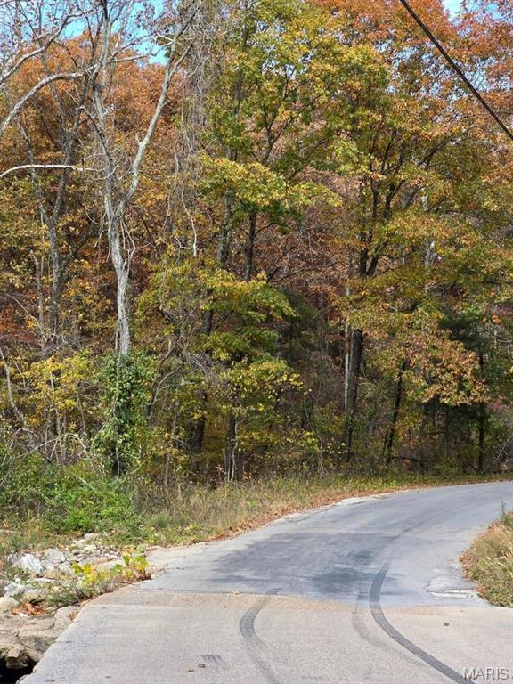 Photo of 000 Mineral Drive Lot 1 Houston MO 65483