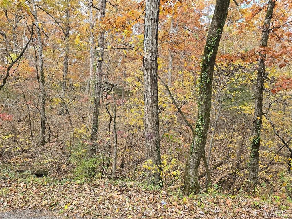 Photo of 000 Mineral Drive Lot 3 Houston MO 65483