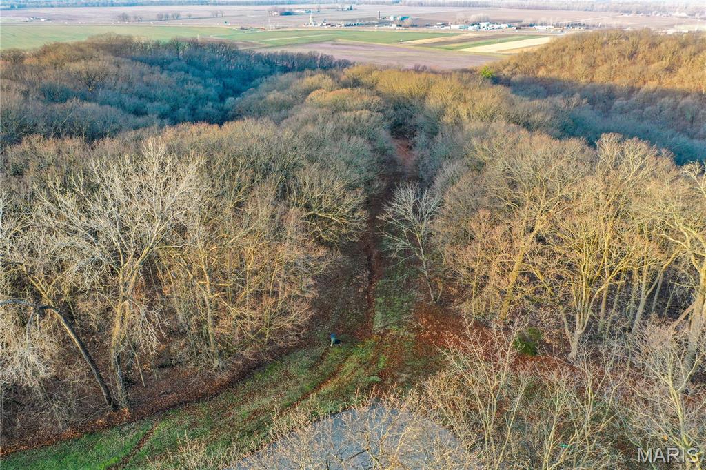 Photo of 12178 Dogwood Drive Holts Summit MO 65043