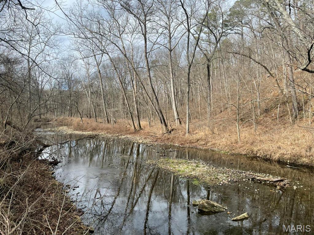 Photo of 000 Forest Drive Houston MO 65483