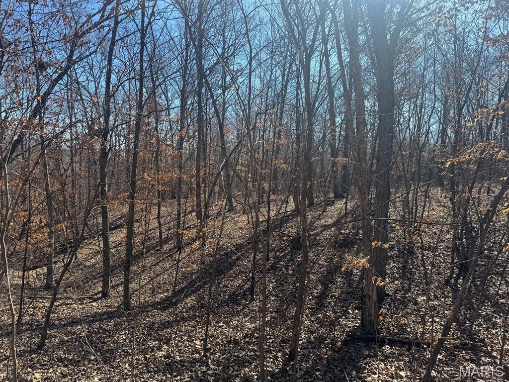 Photo of 00 Clinton Place Monroe City MO 63456
