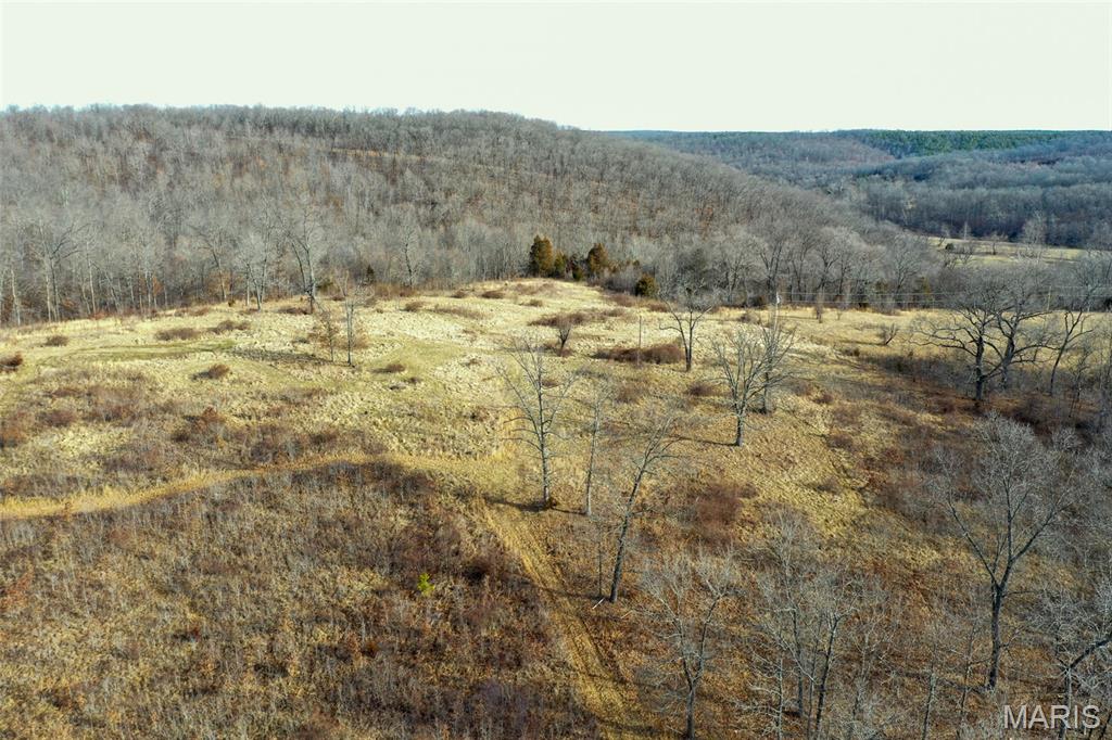 Photo of 10331 Hopkins Road Potosi MO 63664