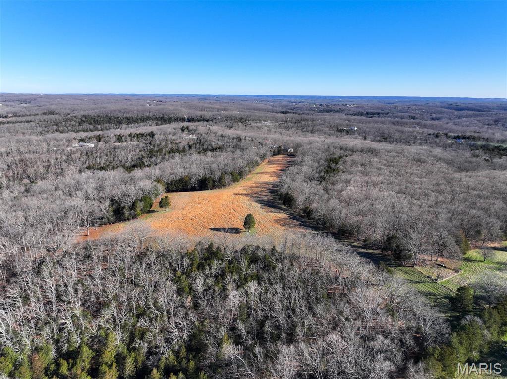 Photo of 0 Scanlon Drive De Soto MO 63020