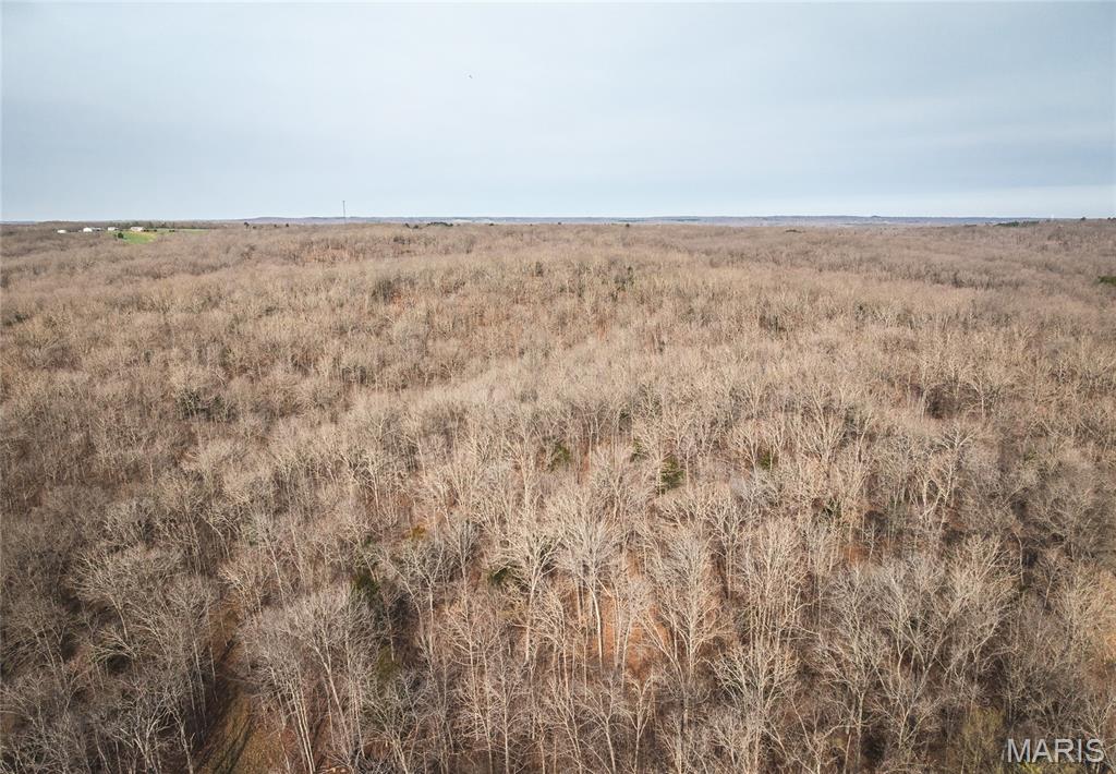Photo of 000 County Road 3600 Tract 1 St James MO 65559