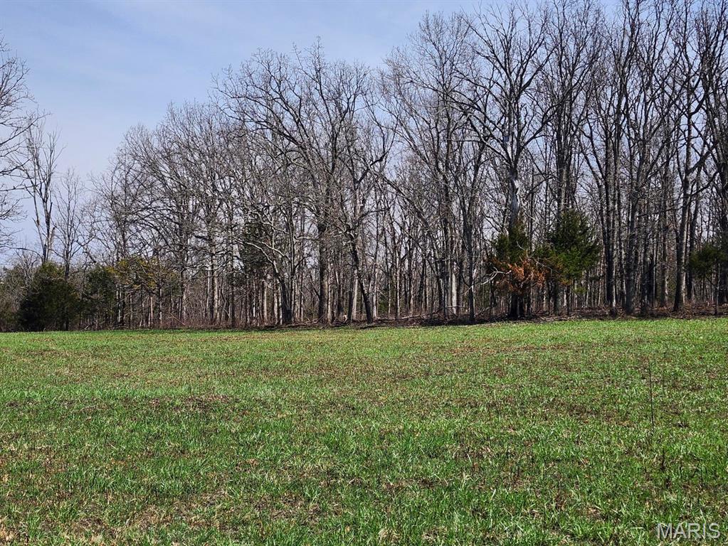 Photo of 000 M- Huggins Road Huggins MO 65484