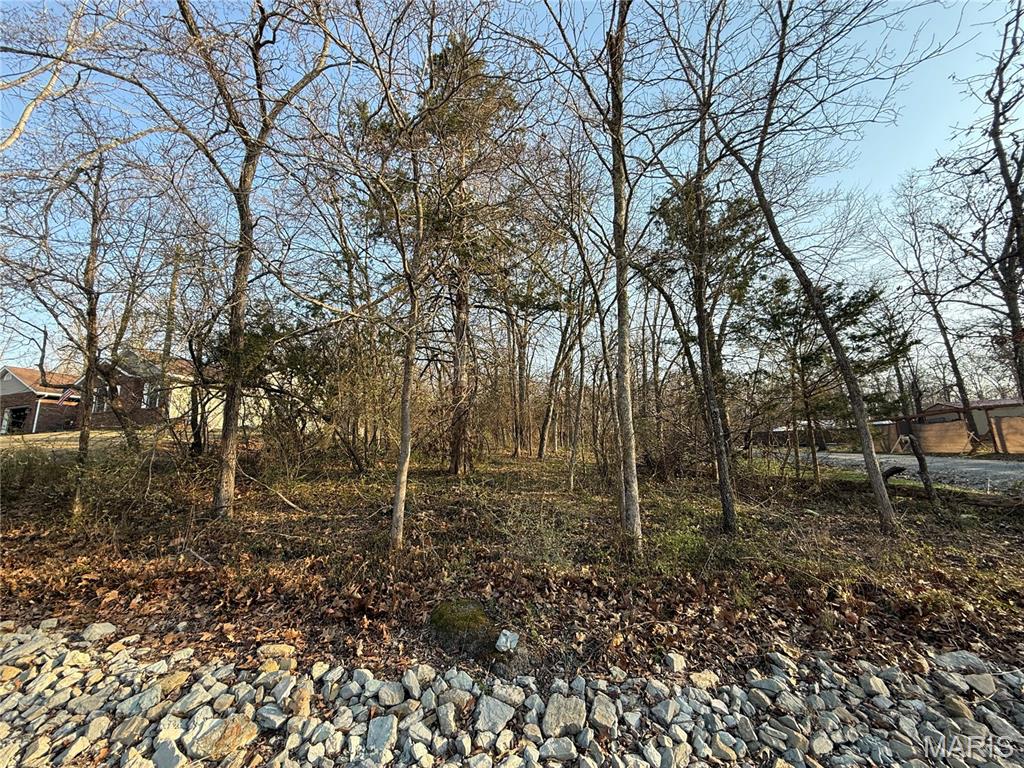 Photo of #88A South Deer Trail Fredericktown MO 63645
