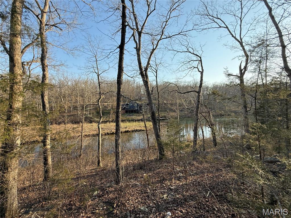 Photo of #411 North Deer Trail Fredericktown MO 63645