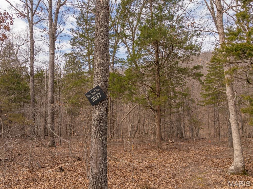 Photo of 2537 Alpine Woods Drive Innsbrook MO 63390