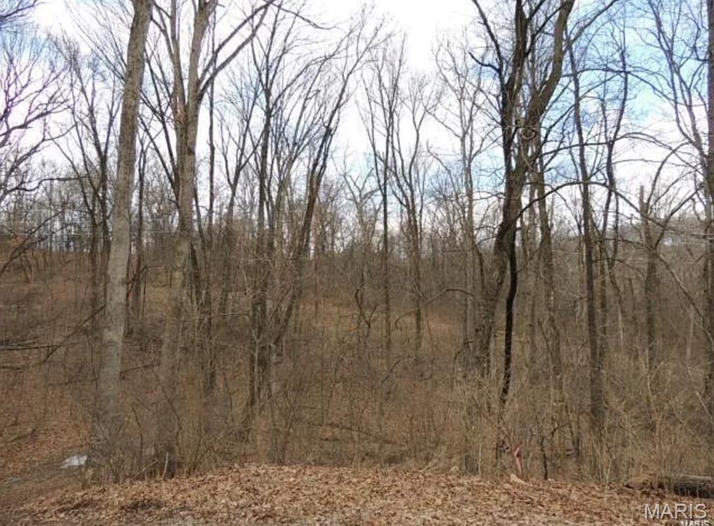 Photo of 1001 Chesterfield Forest Drive Wildwood MO 63005