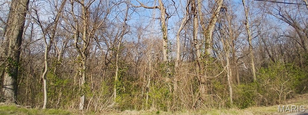 Photo of APN Briggs Street Edwardsville IL 62025