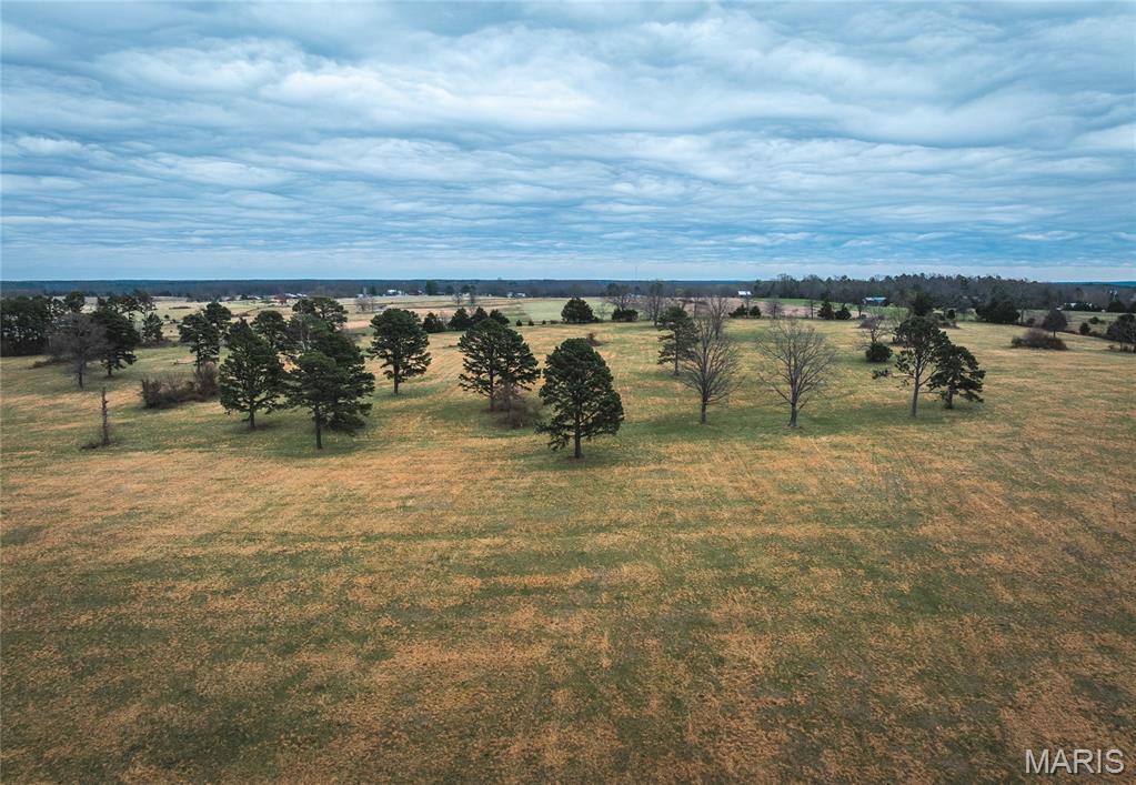 Photo of TBD Dewitt Drive Hartshorn MO 65478