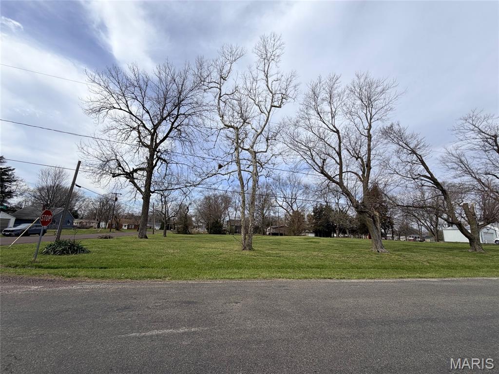 Photo of 13007 Harrison Trail Litchfield IL 62056