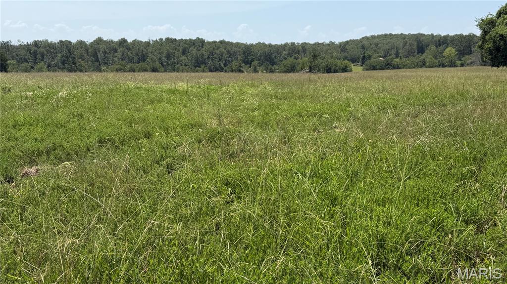 Photo of 1 Ripley Z-4 Gatewood MO 63942