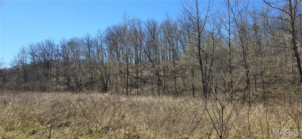 Photo of 0 County Road 422 Ellington MO 63638
