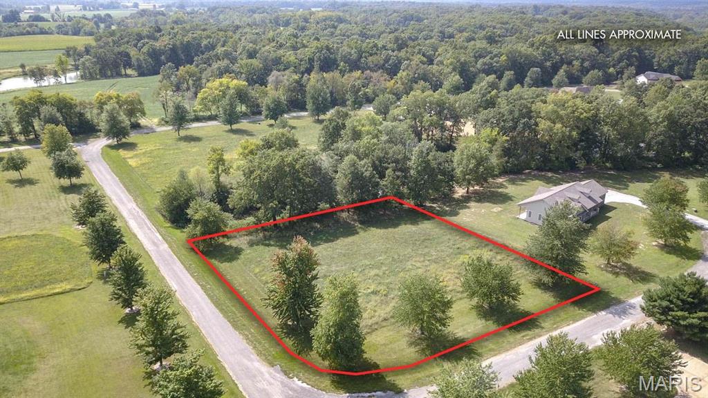 Photo of 0 Springman Lane Brighton IL 62012