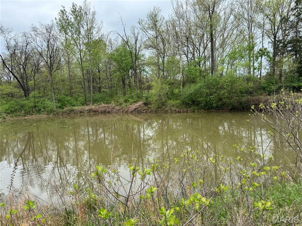 Photo of lot 16 Pine Crest Estates Wright City MO 63390