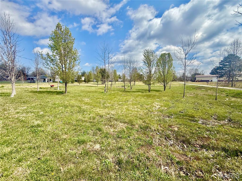 Photo of 0 county road 334 Fredericktown MO 63645