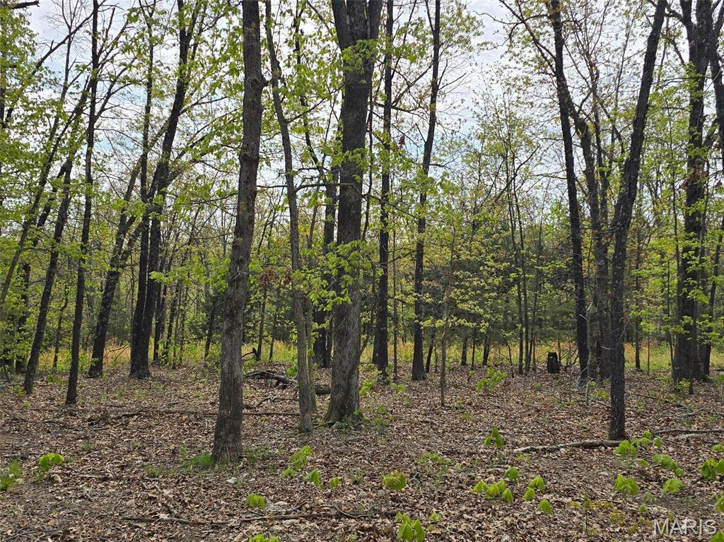 Photo of Tract Q Galaxy Lane Lebanon MO 65536