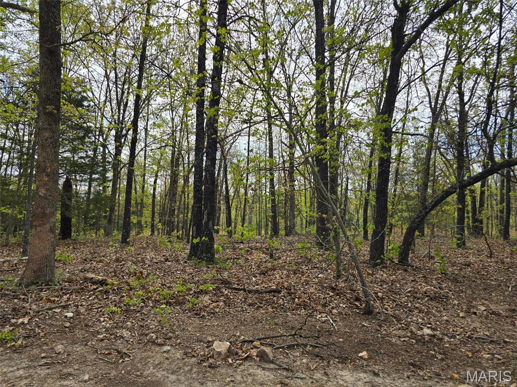 Photo of Tract M Greatview Lane Lebanon MO 65536