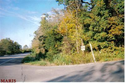 Photo of 53 HIGHWAY E (VERERANS DR) Drive De Soto MO 63020