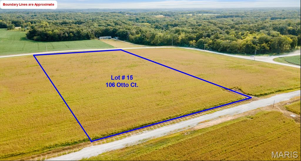 Photo of 106 Otto Court Silex MO 63377