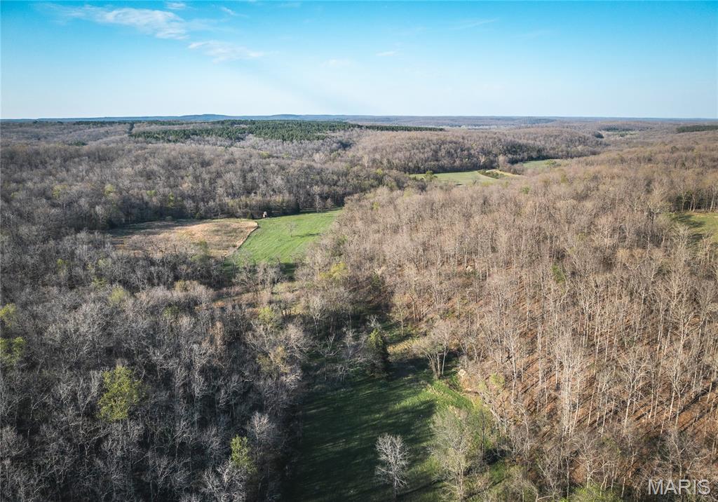 Photo of TBD County Road 3600 St James MO 65559