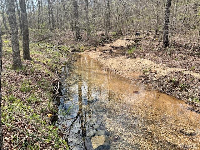 Photo of 413 Kelley Road Annapolis MO 63620