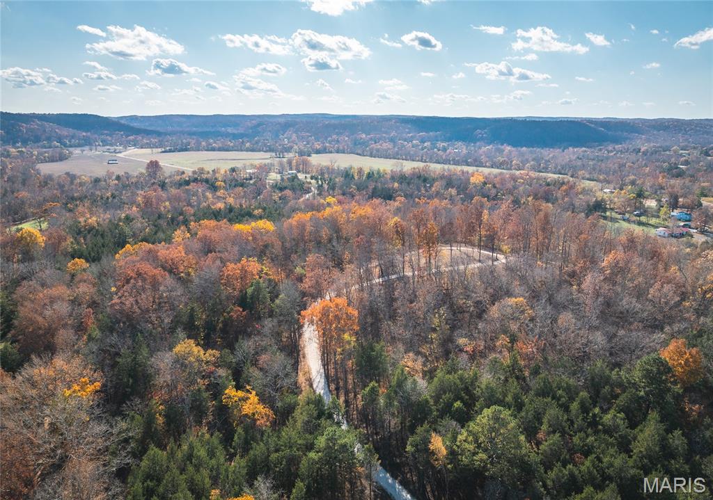 Photo of 0 Highway 21 Lot 1 Lesterville MO 63654