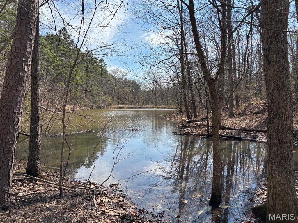 Photo of 000 W State Highway 8 Potosi MO 63664