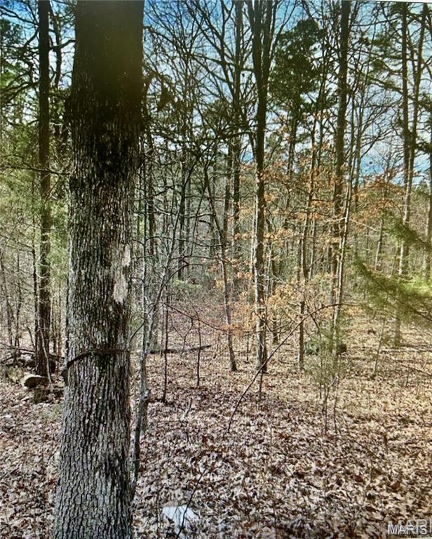 Photo of 10365 Prices trail Potosi MO 63664