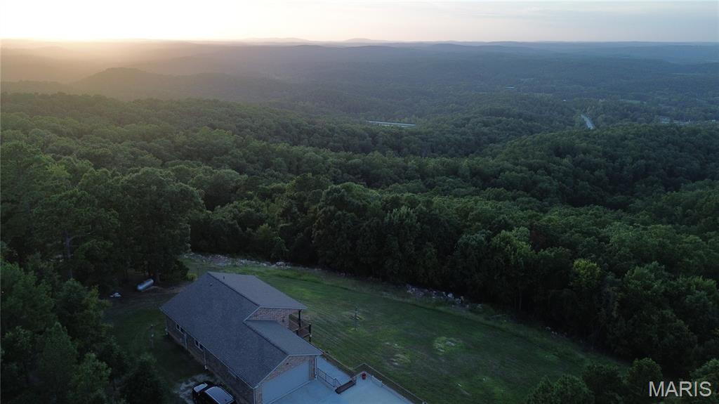 Photo of 353 Skyline Drive Van Buren MO 63965