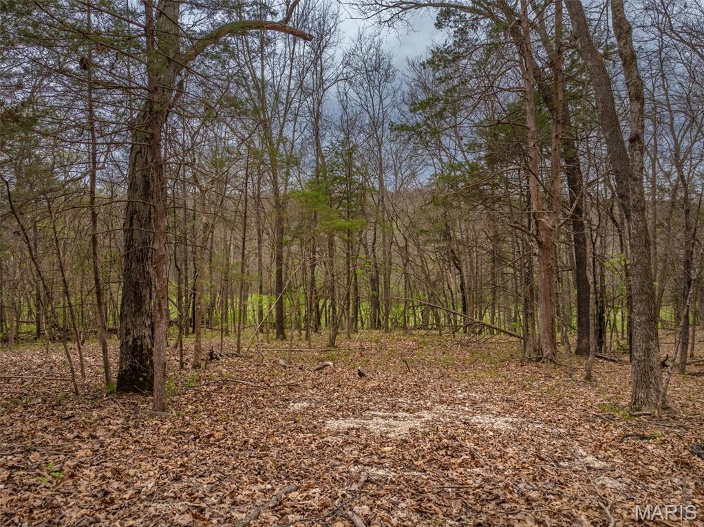 Photo of 2903 Valley View Drive Innsbrook MO 63390