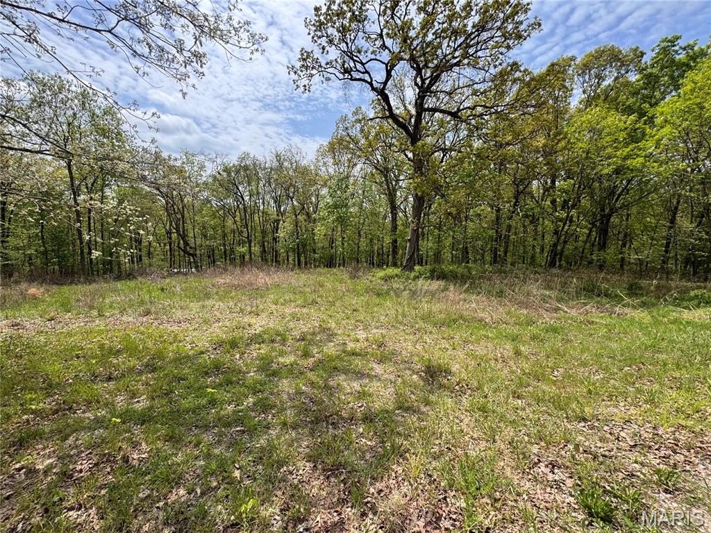 Photo of 195 Stoney Point Drive Whitewater MO 63785