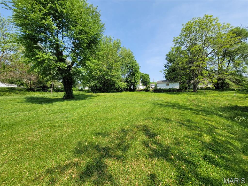 Photo of 1013 Texas Street Louisiana MO 63353