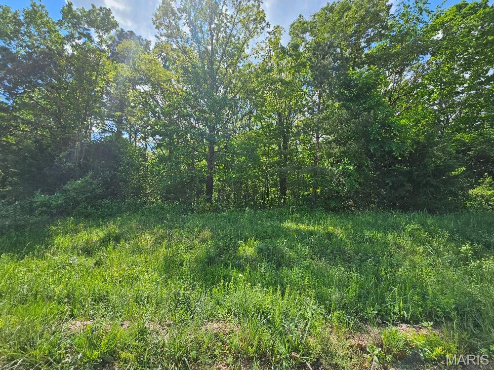 Photo of 0 Carter 239 Ellsinore MO 63937