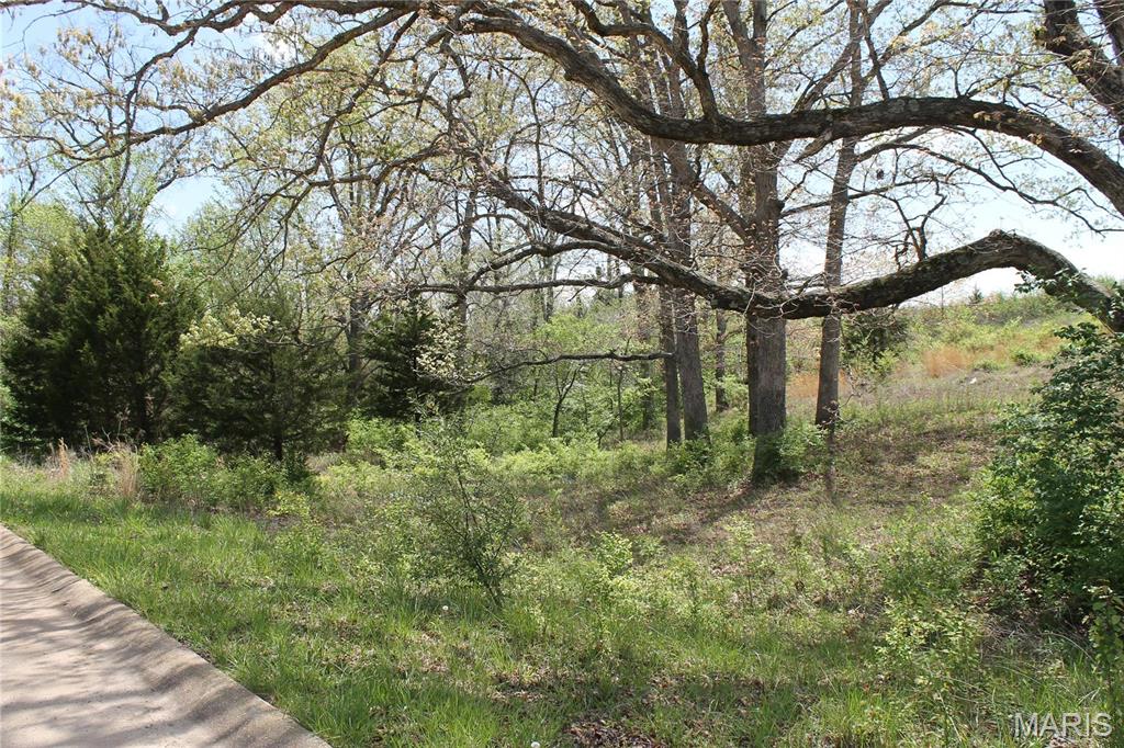 Photo of 0 Oak Ridge Drive St Clair MO 63077