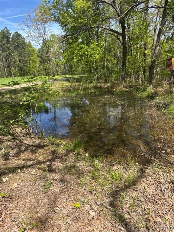 Photo of 0000000 W Highway 8 Potosi MO 63664