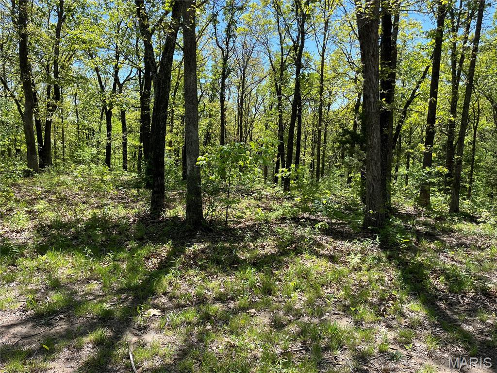 Photo of TBD Lobo Drive Festus MO 63028