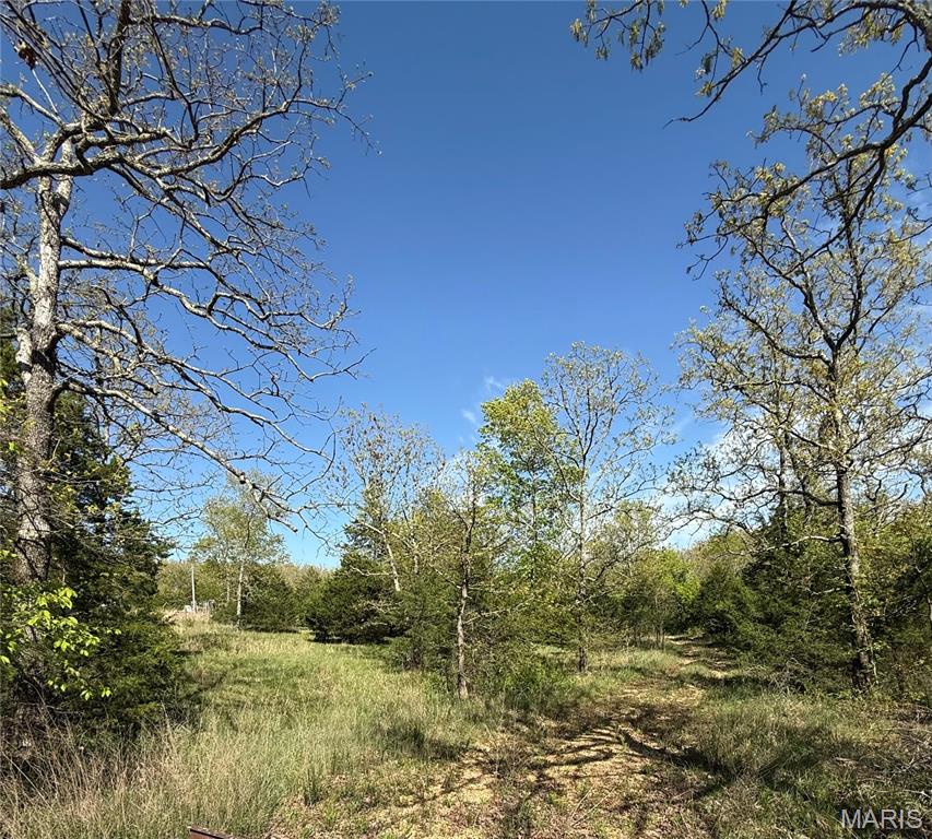 Photo of 149 N Roanoke Road Salem MO 65560