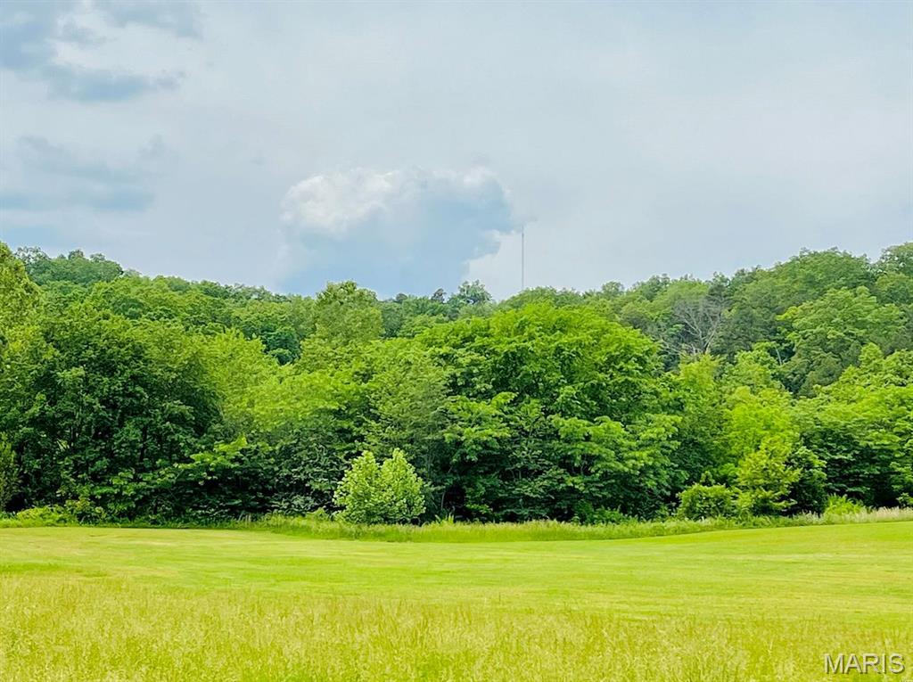 Photo of 0 Deer Run Plat 12 Lot 18 Van Buren MO 63965