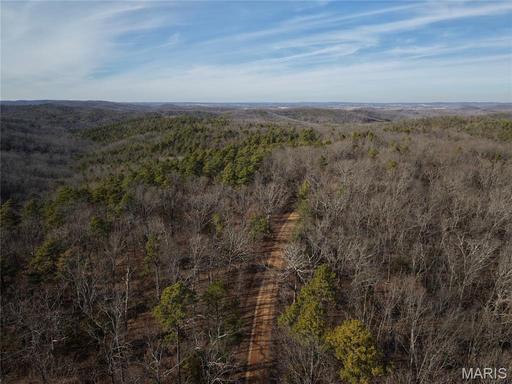 Photo of Tract 3 Bidwell Creek Road Womack MO 63645