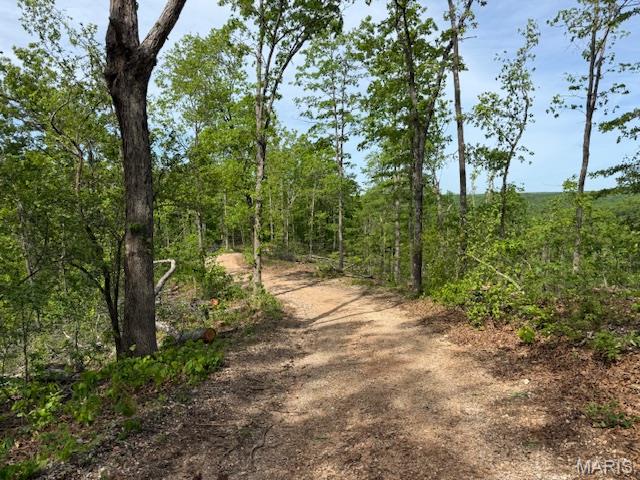 Photo of TBD County Road 305A Eminence MO 65466