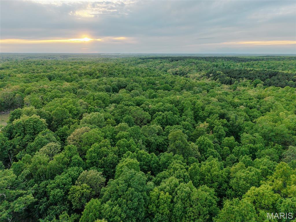 Photo of 65+- Acres E Highway 32 Salem MO 65560