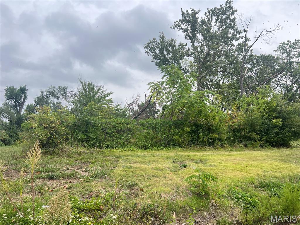 Photo of 5223-5225 Minerva Avenue St Louis MO 63113