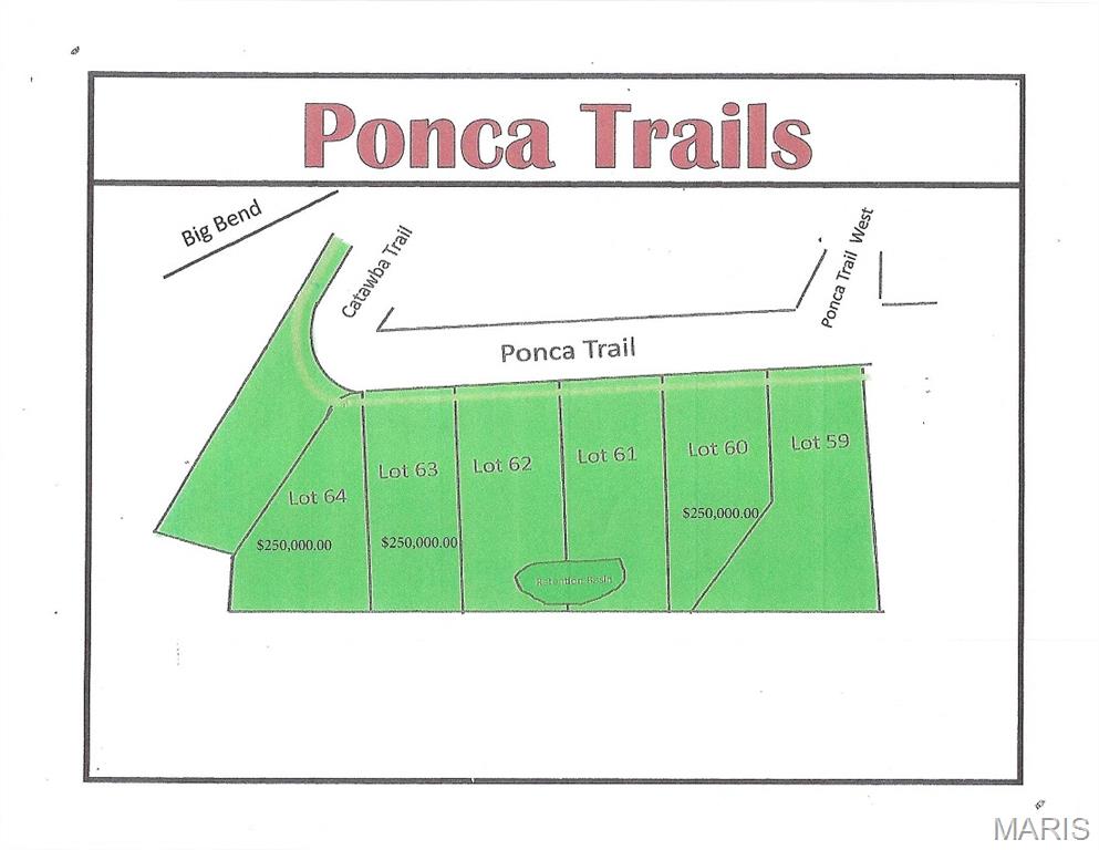 Photo of 52 Ponca Trail Lot 63 Kirkwood MO 63122