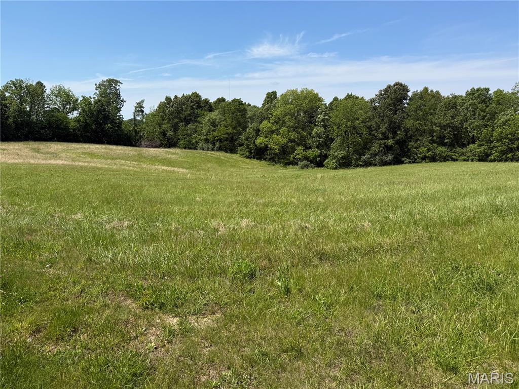 Photo of 0 Spring Valley Drive Cape Girardeau MO 63801