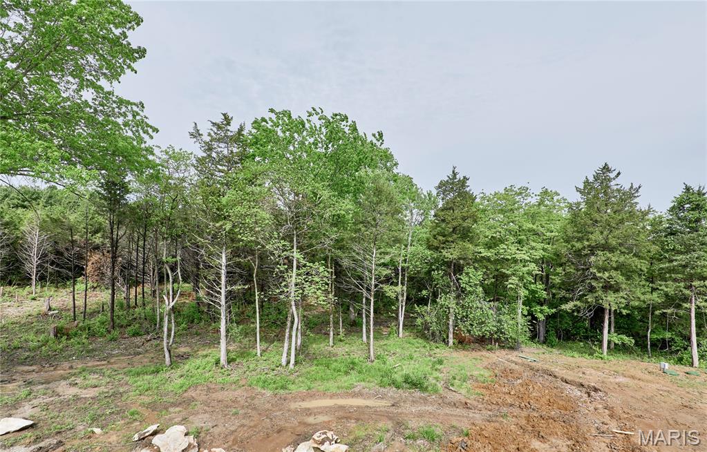 Photo of 22595 Highway O Wright City MO 63390